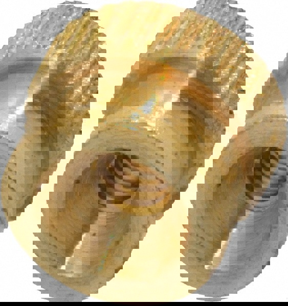 #6-32 UNC Thread, Uncoated, Grade B-633 Brass Round Knurled Thumb Nut